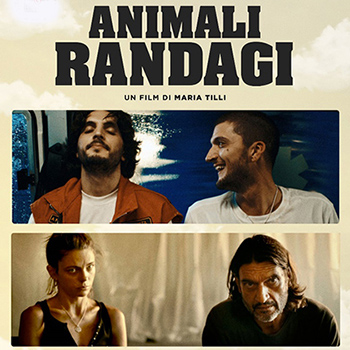 ANIMALI RANDAGI domenica 18 a lunedì 19 agosto ore 21:30